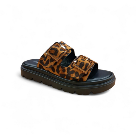 IMG_4437822252454145131 IMG_4437822252454145131