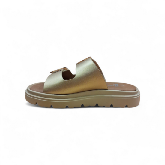 IMG_6597430576501979518