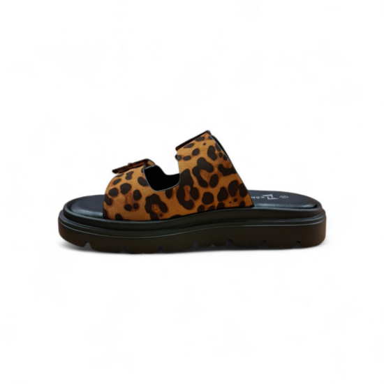 IMG_6960091816768559787 IMG_6960091816768559787